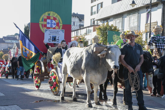 Desfile de Carretas da Festa da Colônia, uma tradição que orgulha os descendentes de imigrantes
