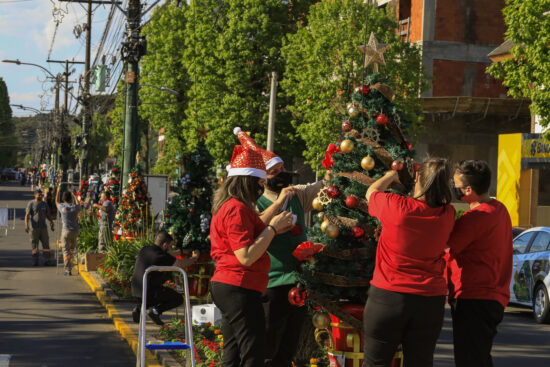 “Decoração dos Pinheirinhos” e o espetáculo “A Fábrica de Sonhos” dão início às atividades do 35° Sonho de Natal